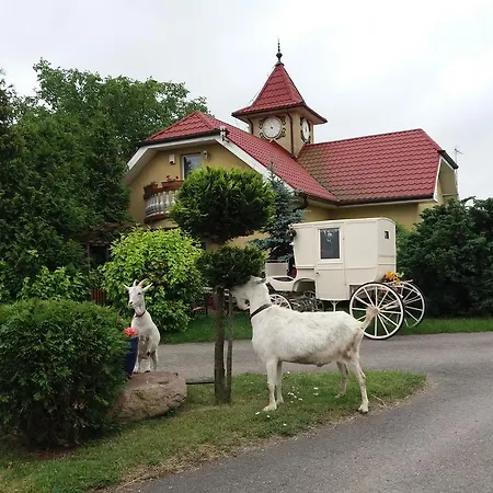 ホテル Cezar シロダ・ヴィエルコポルスカ