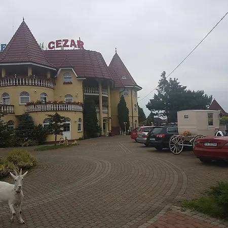 Cezar