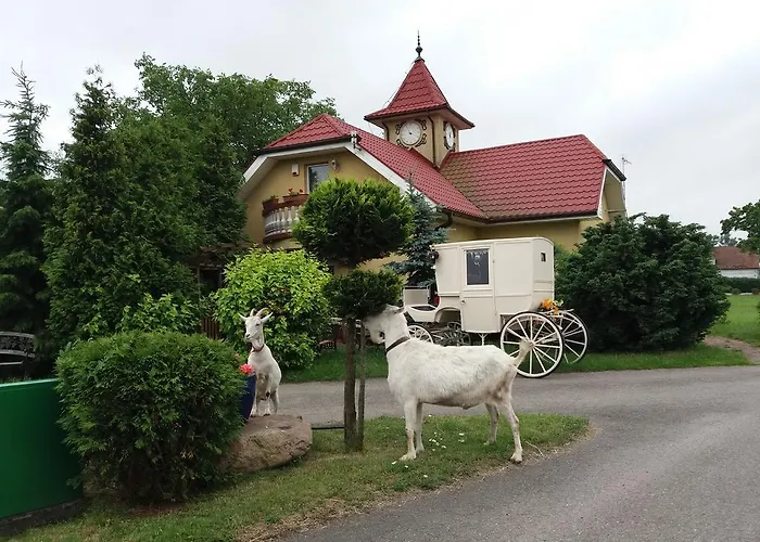 Hotel Cezar Sroda Wielkopolska