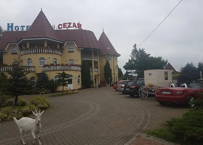 Cezar