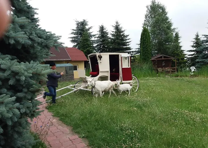 Cezar Sroda Wielkopolska